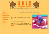 Bucking Bronco South East - Rodeo Bull Hire in Kent.
