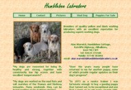 Humblebee Labradors - Labrador Breeder - Rochester, Kent