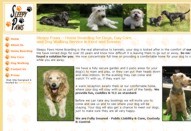 Sleepy Paws - Dog Home Boarding, Walking and Day Care Services